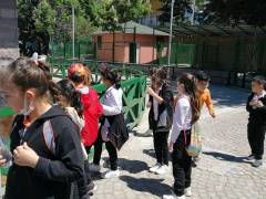 Evrensel Kolej